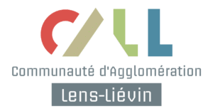 Logo-call-vweb